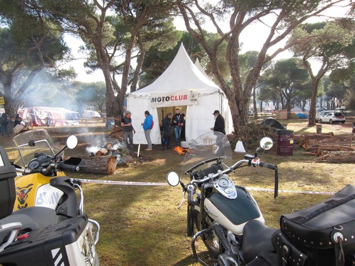 Asistentes a la pasada edición de Pingüinos, en 2018