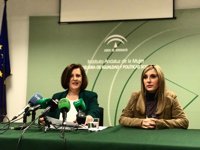 Junta: Vox "se ha quitado la careta" con sus propuestas y "se la está quitando a quienes van a ir de su mano"