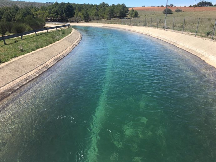 Embalse, trasvase, riego, regadío, agua, canal, Tajo-Segura