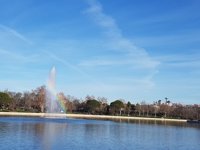 Móviles, discos duros de ordenadores, columbarios y hasta una pistola aparecieron tras vaciar el lago de Casa de Campo