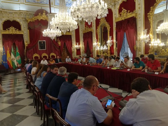Reunión del Consejo de Alcladías en la Diputación de Cádiz