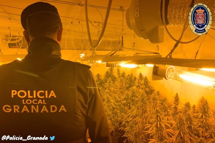 Zulo con marihuana en los bajos de un bloque de Granada