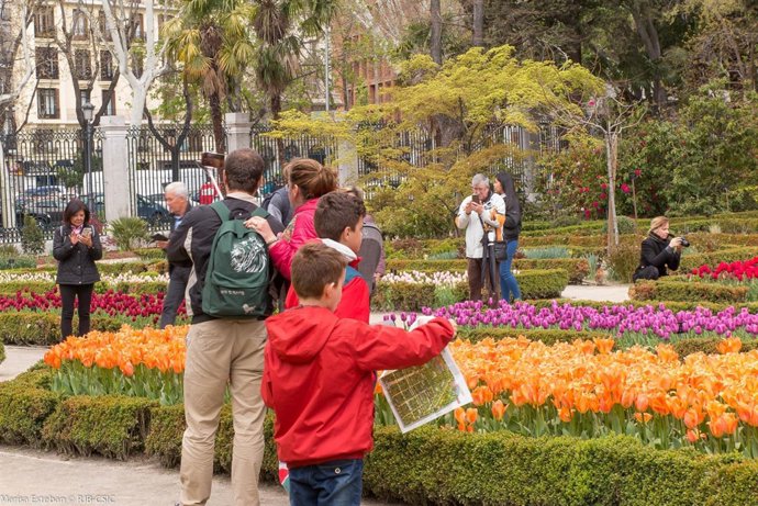 El Real Jardín Botánico exhibe 'Tulipa Tulipae', entre marzo y mayo de 2018