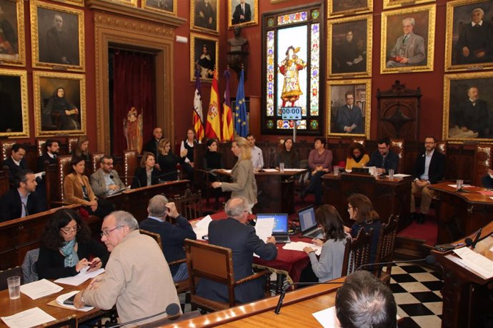 Pleno del Ayuntamiento