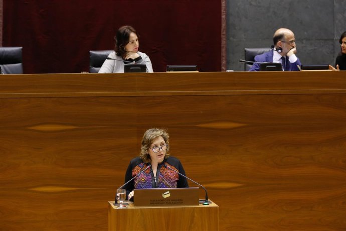 La consejera navarra Isabel Elizalde, en el pleno del Parlamento.