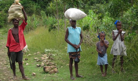 Cooperación y Desarrollo