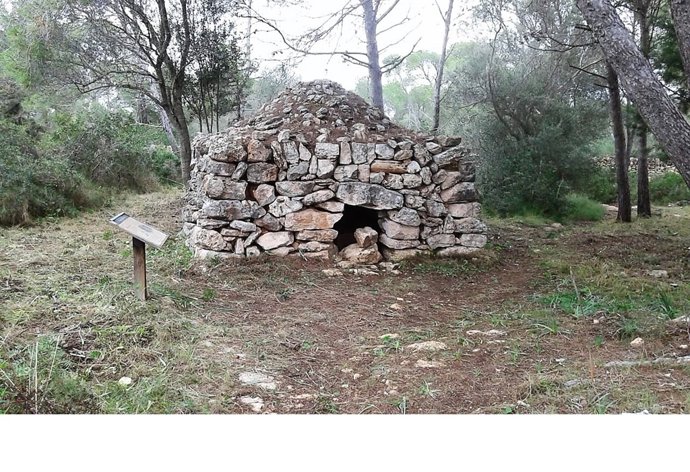 Barraca de curucull del itinerario de s'Amarador