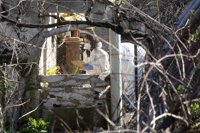 Trasladan a la finca familiar al detenido por el crimen de Sárdoma en Vigo para un registro