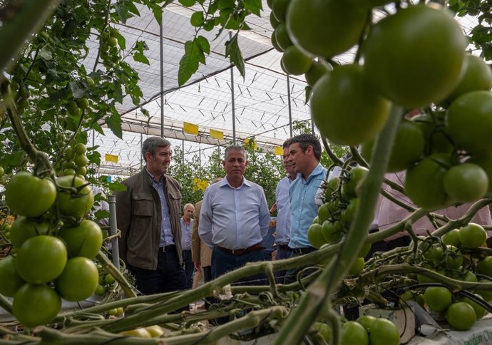 [Grupocanarias] [Medios Todos Pres] Np Presidencia | Fernando Clavijo Destaca El