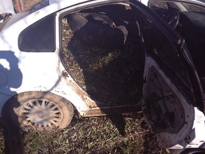 Aceitunas robadas en el interior del vehículo interceptado