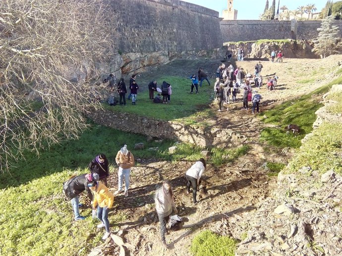 Plantación de árboles junto a la muralla de Badajoz