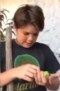 ¿Quién ha grabado 'Adiós Chimuelo', el primer vídeo viral de 2019?