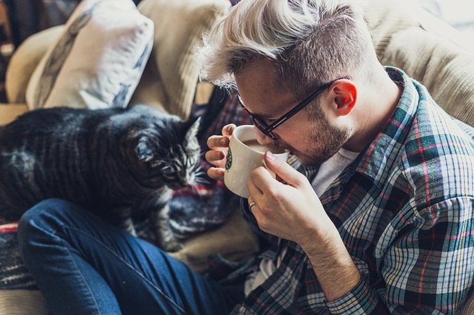 Café, infusión, taza, desayuno, mascota, gato