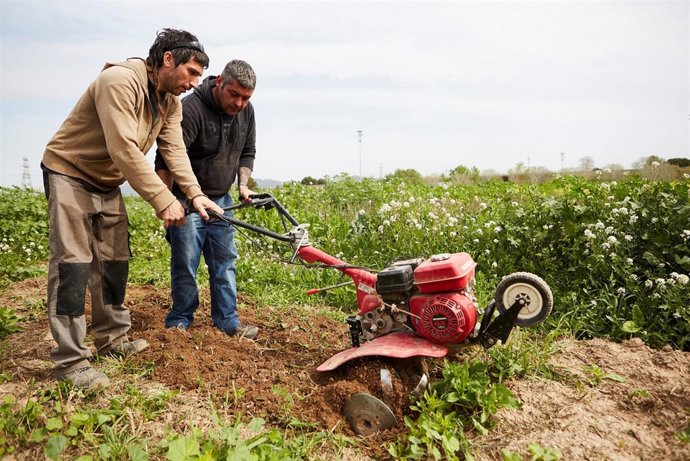 Proyectos sociales La Caixa