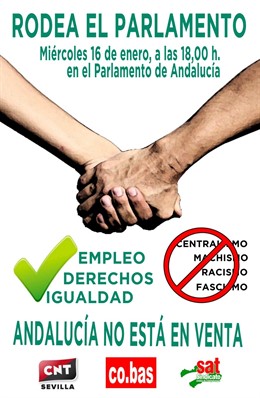 Cartel de la acción de 'Rodea el Parlamento'.