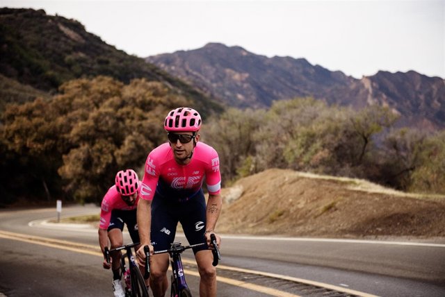 ebike performance line cx