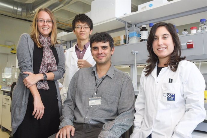 Nanopartículas para transportar fármacos al interior de los tumores cerebrales