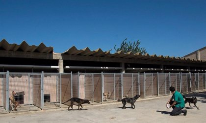 El centro de protección animal de la Diputación de Zaragoza atiende a 269  perros en 2018