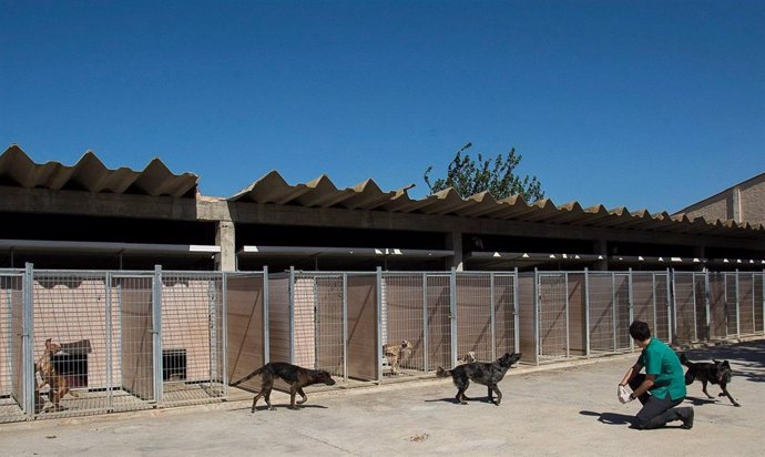 Centro de Protección Animal de la DPZ