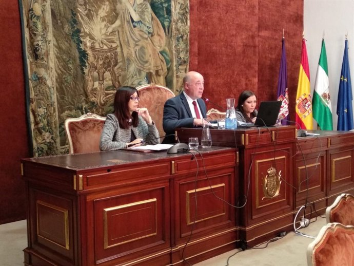 Antonio Ruiz preside el Pleno de la Diputación de Córdoba