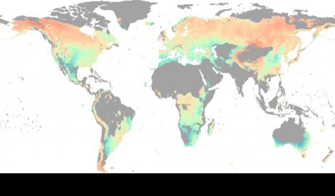 Cambio Climático