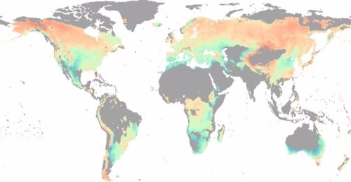 En azul, los bosques más afectados por la falta de agua