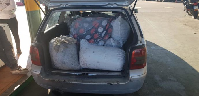 Aceitunas interceptadas por la Policía Local de Badajoz