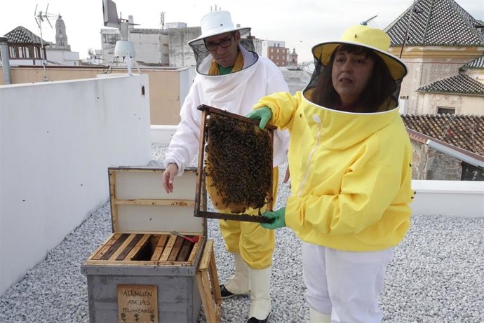 Colmena urbana en Málaga capital