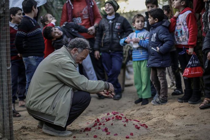 Newborn lion cubs die after Storm in Gaza