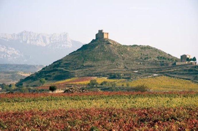 Castillo de Davalillo en San Asensio