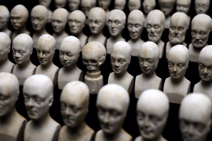 Conjunto de sesenta cabezas en miniatura utilizadas en frenologíamm,