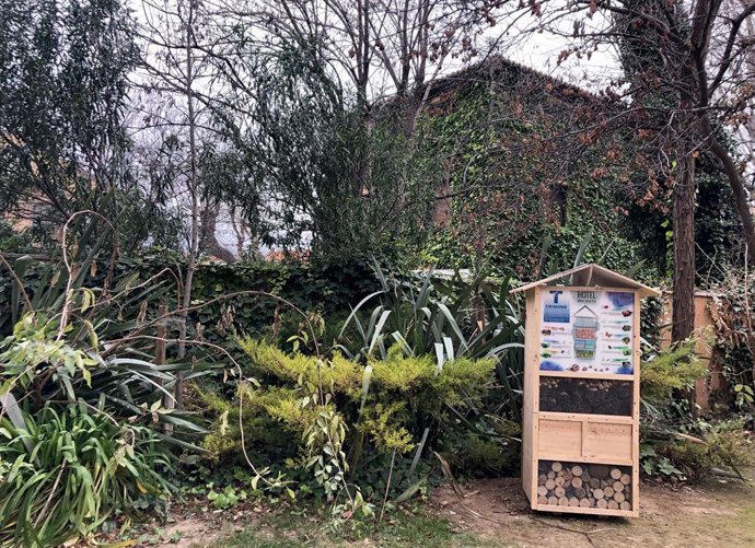 Hotel para insectos en Tarazona