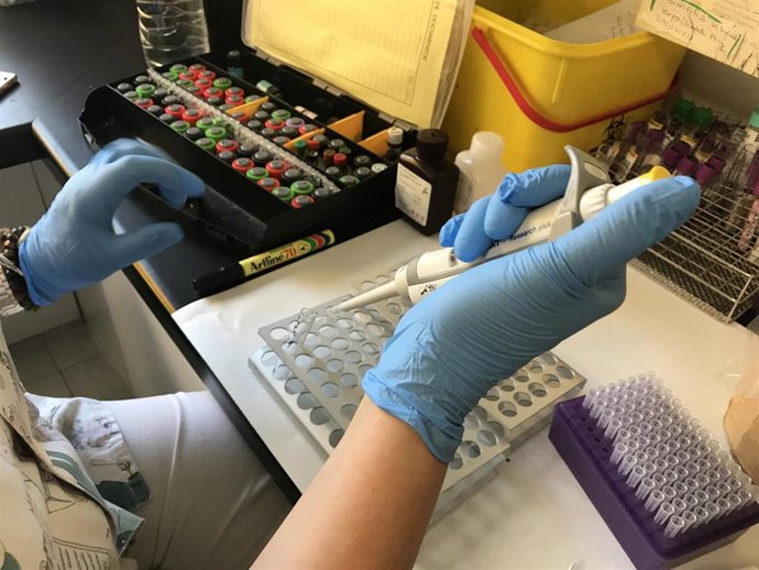 Terapia genérica en pacientes con hemoficia A severa