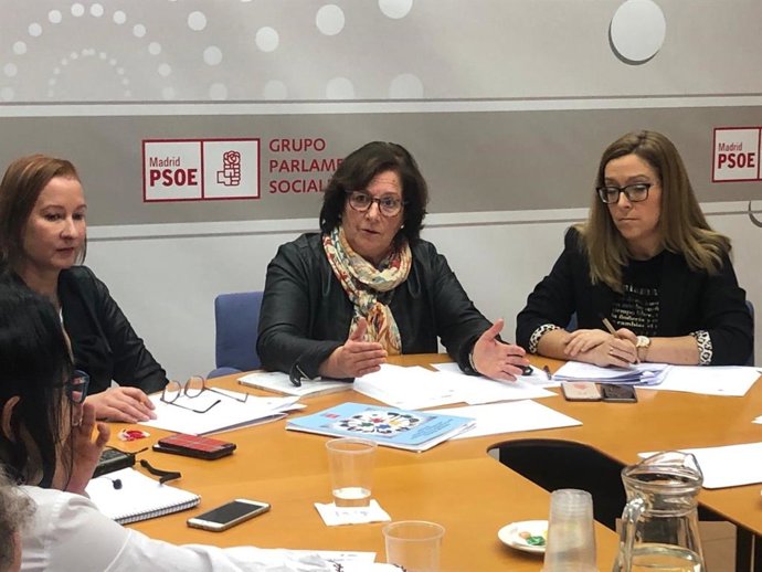 LA DIPUTADA DEL PSOE JOSEFA PARDO EN LA ASAMBLEA DE MADRID