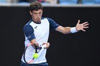 Carreño pide disculpas por su "reacción totalmente fuera de lugar" tras caer ante Nishikori