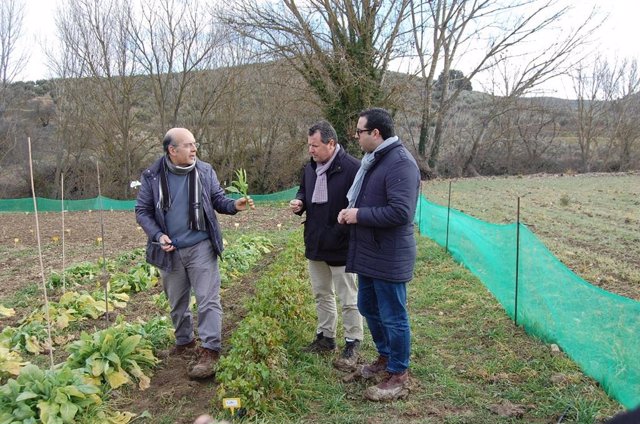 Visita a la finca con cultivo experimental de grelos y mostaza