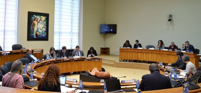 Reunión de la Comisión Institucional de la Cámara gallega