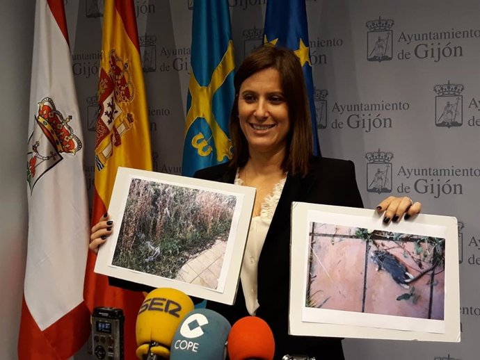 LARA MARTÍNEZ, CONCEJALA DEL PSOE DE GIJÓN