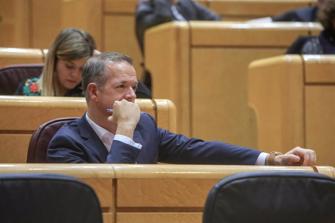 El portavoz del PSOE en el Senado, Ander Gil, durante un Pleno