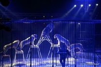 Asociación Circos Reunidos denunciará la prohibición de animales si la aprueba el Pleno del Ayuntamiento de Madrid