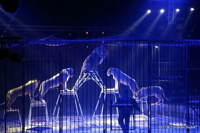 El Circo Quirós llega a Carabanchel