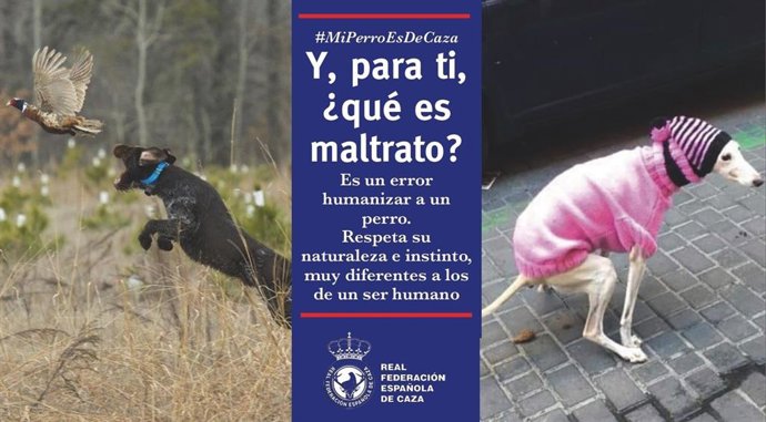 La RFEC lanza una campaña contra la "humanización" de los perros