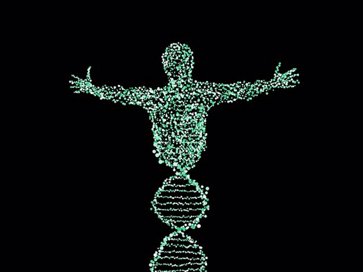 Decode Publica El Primer Mapa Genético De Resolución Completa Del Genoma Humano