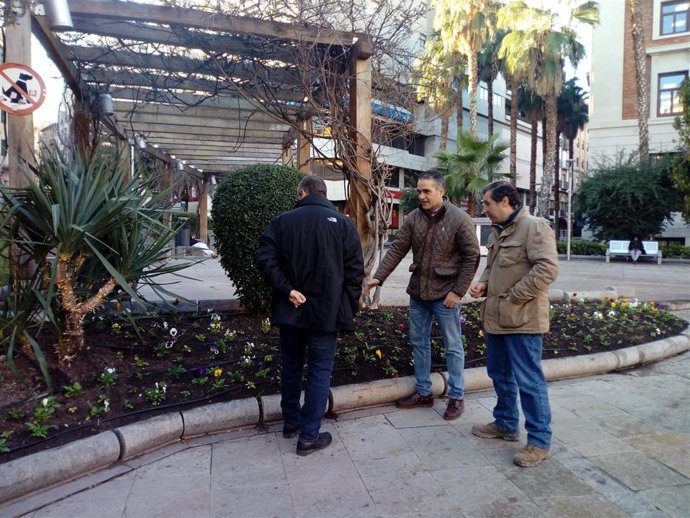 Visita a las zonas decoradas con plantas de invierno