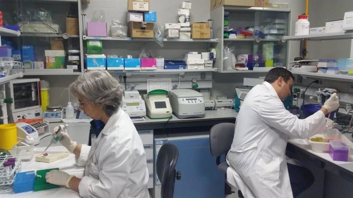 Np Proyecto De Investigación Cabimer Sobre La Prevención De Riesgos Asociados Al