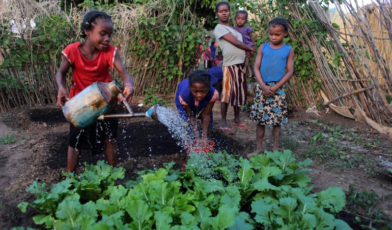 Cooperación y Desarrollo