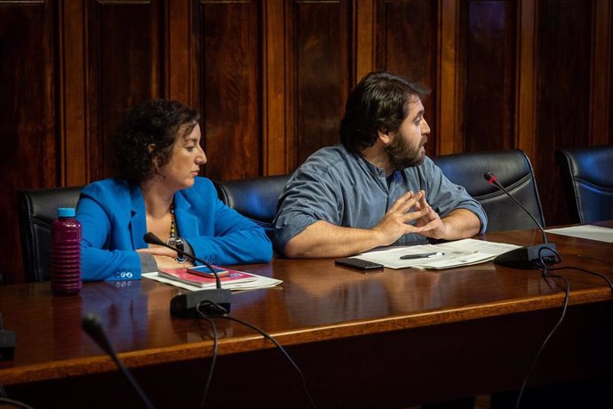 Los diputados del PSC en el Parlament Alícia Romero y Ferran Pedret