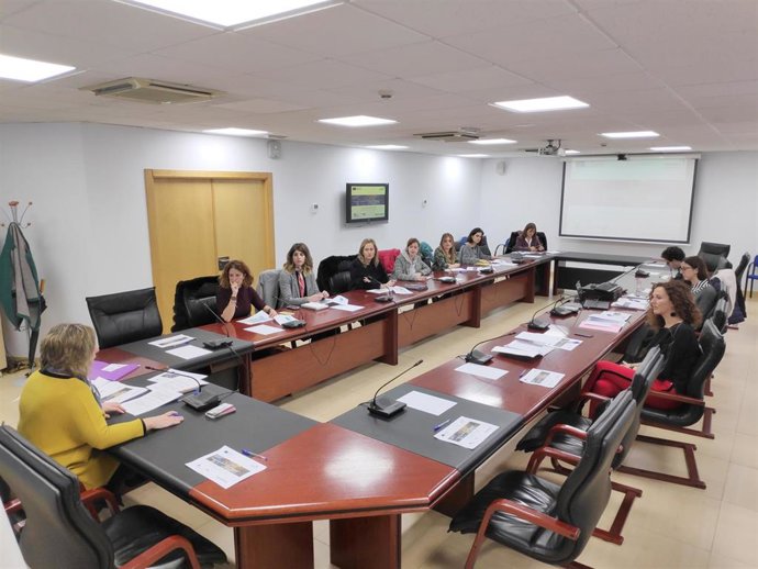 Reunión proyecto Fémina