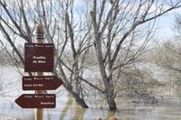 Unas 400 hectáreas de cultivos inundadas en Boquiñeni por la crecida del Ebro