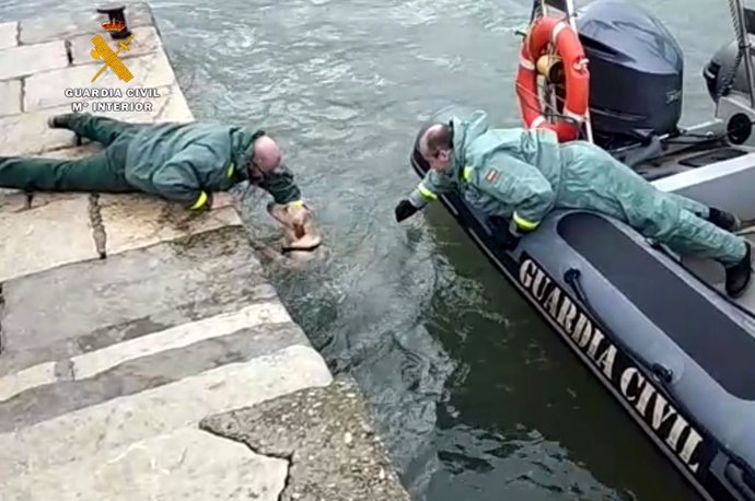 Rescate perra en bahía Santander